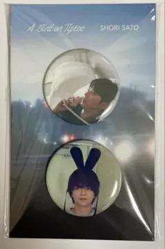 佐藤勝利 A Bird on Tiptoe 缶バッジ