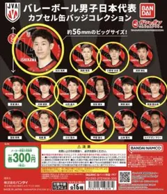 バレーボール　男子　日本代表　カプセル缶バッジコレクション　まとめ