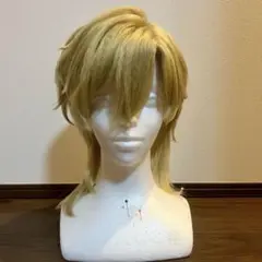 Sレーシング蛍コスプレuwowo製 - メルカリ