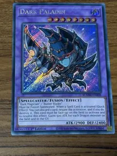 2026年最新】ブラックパラディン 英語の人気アイテム - メルカリ