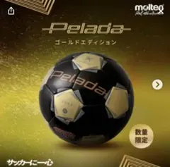 モルテン ペレーダ pelada 4900 4号 ペレーダゴールドエディション②のサムネイル