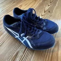 Item thumbnail for item 3290b088-09f6-47db-920e-aa2b32b8e36d