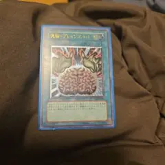 遊戯王 洗脳−ブレインコントロール レリーフ 2枚セット TLM-JP038