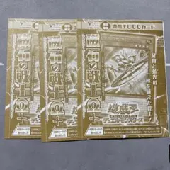 磁石の戦士