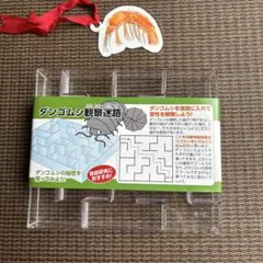 【新品未使用】ダンゴムシ 観察迷路 自由研究 知育 セリアのサムネイル