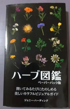 Item thumbnail for item f1ed7f6d-fe28-499f-932d-60a0f8d8d16d