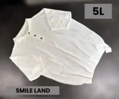 【新品】 SMILE LAND ＊ メッシュニット ＊ホワイト＊大きいサイズ5Lのサムネイル