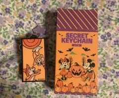 ディズニーストア ハロウィン シークレットキーチェーン チップとデール