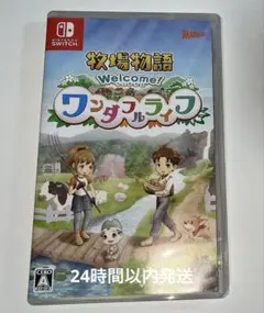⭐️動作確認済み⭐️ 牧場物語 Welcome! ワンダフルライフ24時間以内発送のサムネイル