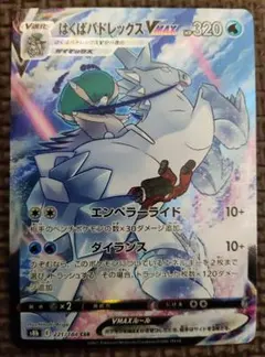 【日々値下げ実施中！】はくばバドレックスVMAX CSR S8b VMAXクライ