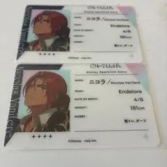 スパリク ニコラ プロフィールカード