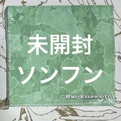 ENHYPEN THE SIN : VANISH ソンフン 未開封