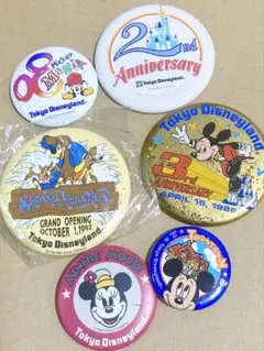 東京ディズニーランド　レトロ　バッチ　周年記念　スプラッシュマウンテン　貴重
