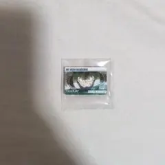 即購入⭕️ヒロアカ　バッチ