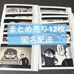わしゃがなTV ぱしゃこれ ノーマルセットのサムネイル