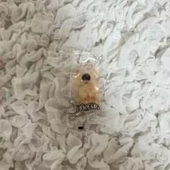 【新品未開封】 Snow Man 向井康二 お守りキーホルダー