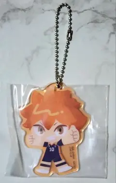 ハイキュー 一番くじ ゴミ捨て場の決戦 アクリルチャーム 日向翔陽