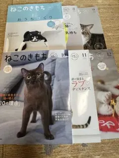 ねこのきもち 2022/7~2024/8まで まとめ売りのサムネイル