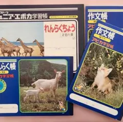 Item thumbnail for item 42f89fba-9dbd-4483-8bec-e2001f196f1a