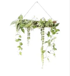 ♡ウォールグリーン 壁掛け フェイク 50cm×40cm フック付き 新品