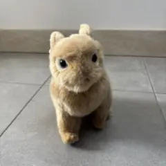 Item thumbnail for item f78c73e2-6a62-4d6c-9eb6-a106b5c34e77