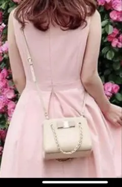 Salvatore Ferragamo ヴァラリボン　バッグ