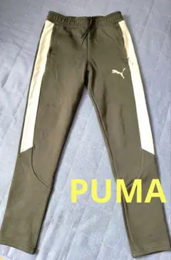 PUMAスキニーTrainingパンツ メンズ M