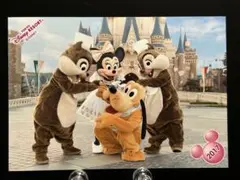 TDL ディズニー スペフォ