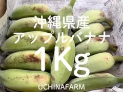 タイムSALE！沖縄県産【アップルバナナ】箱込み1Kg(10本前後)のサムネイル