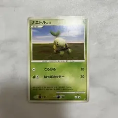 【ナエトル】Lv.11