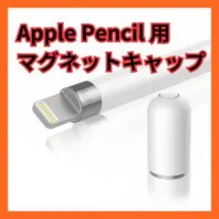 Apple Pencil 交換用キャップ タッチペン 互換品 スペア　G
