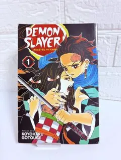 DEMON SLAYER 英語版 1巻 洋書 鬼滅の刃