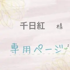 【専用ページ】他の方ご購入をお控えください