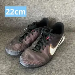 ナイキトレシュー