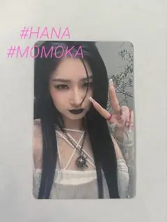 hana rose タレントカード