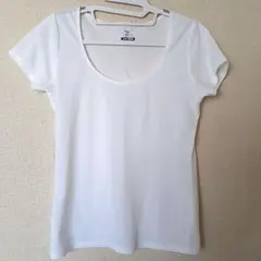 Item thumbnail for item 7478bed0-eea2-4455-827f-1f55bbdbb1f4