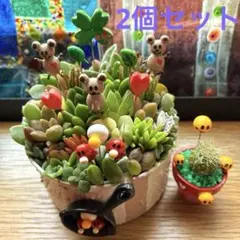 2025年最新】ピコモンストの人気アイテム - メルカリ