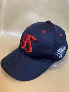 Item thumbnail for item d2735ee0-6df9-4143-88b0-fa6431763f8c