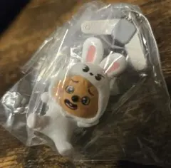 straykids スキズ SKZOO つまんでつなげてますこっと ハンクォッカ