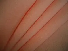 福豆様 リクエスト 6点 まとめ商品