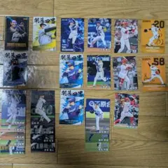 プロ野球チップス セ・リーグ 25枚セット