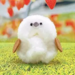 あの様 リクエスト 3点 まとめ商品