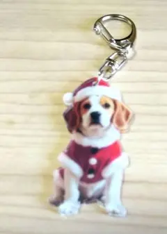 ビーグル犬 クリスマスアクリル キーホルダー
