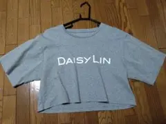 Daisy Lin フォクシーデイジーリン グレー クロップドTシャツ 半袖