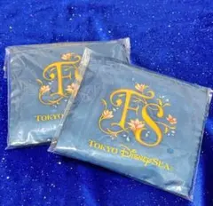 東京ディズニーシー ファンタジースプリングス