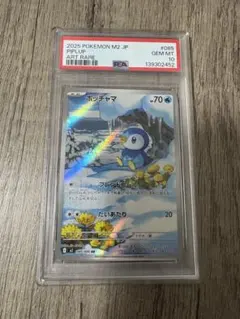 【PSA10】ポッチャマAR
