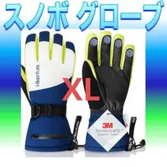 スキーグローブ スノボ 手袋 防寒 雪山 スノースポーツ 高撥水