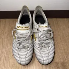 MIZUNO PROFESSIONAL MODEL