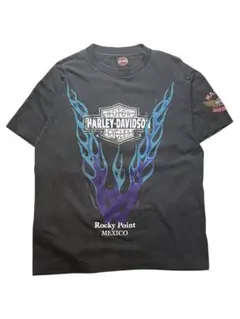 ヒーリー・レゾナンス 2021年2月購入 中古品 - メルカリ