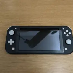 nintendo switch lite 本体